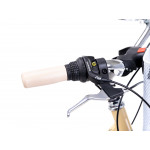 Mestský bicykel ROMET SONATA ECO 2024 M Béžová